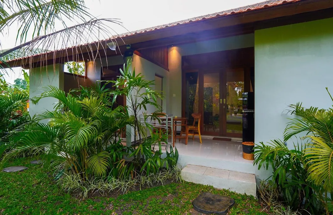 Green Coconut Cottage-1