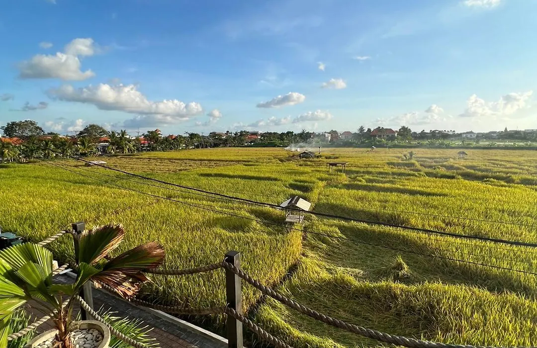 Canggu Hype-1