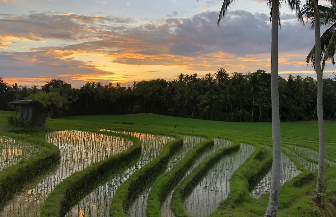 Coco Verde Bali Resort-1
