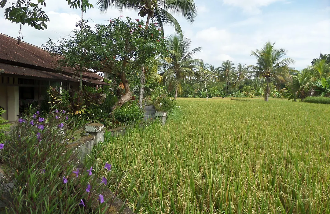 Anini Raka Ubud-1