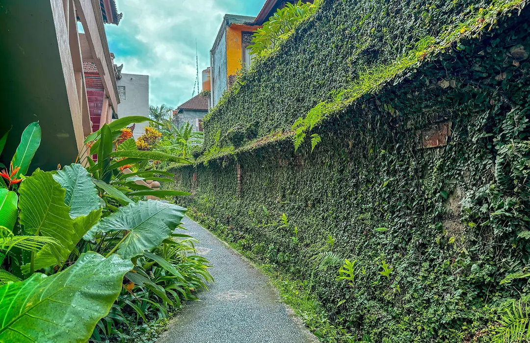 Garden View-1