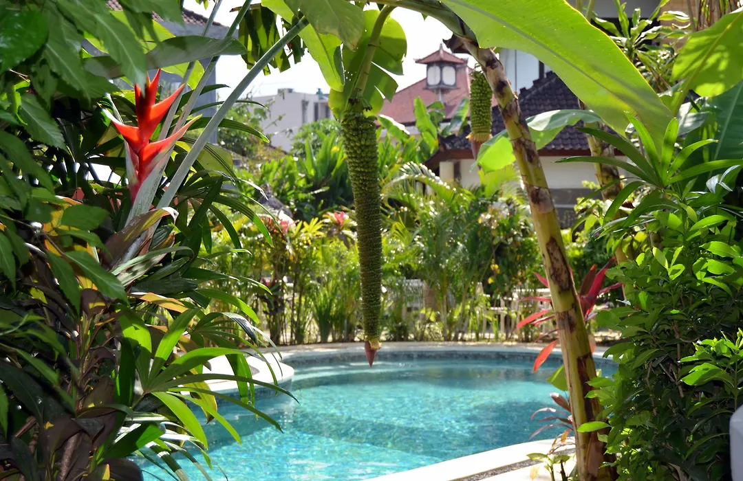 Pearl Hotel (Adults Only)-1