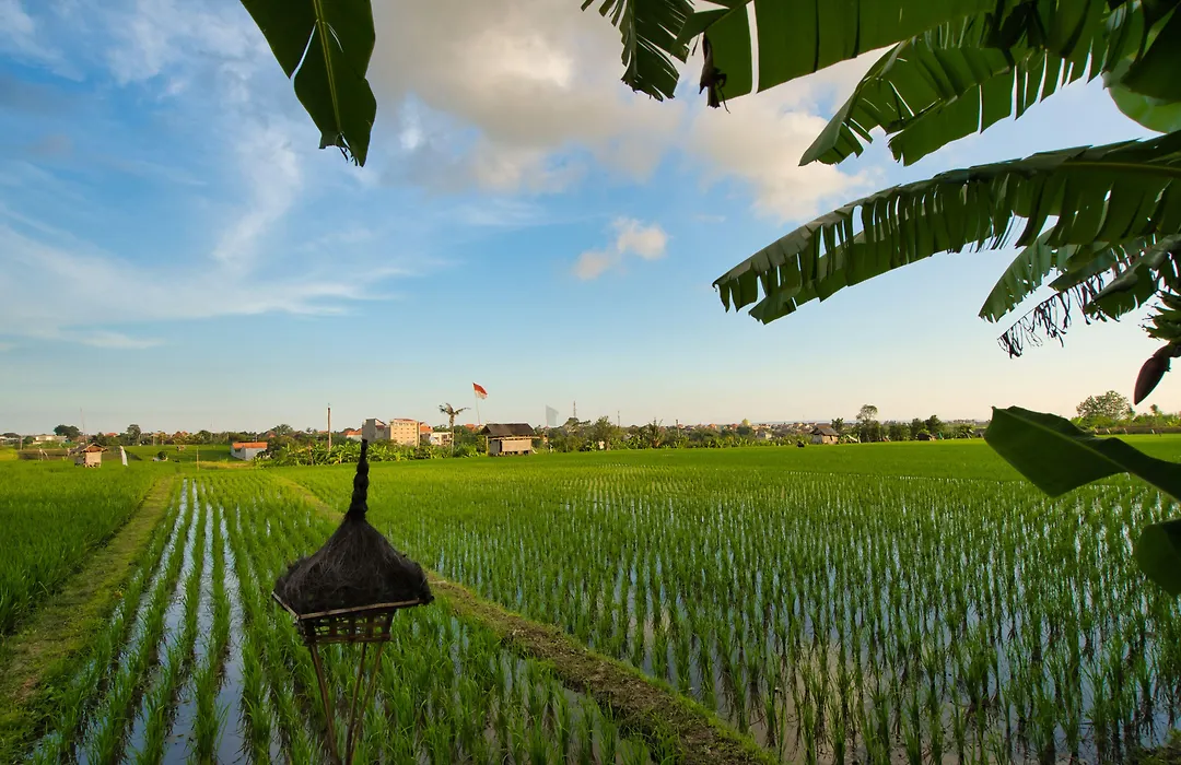Sotis Villas Canggu-1