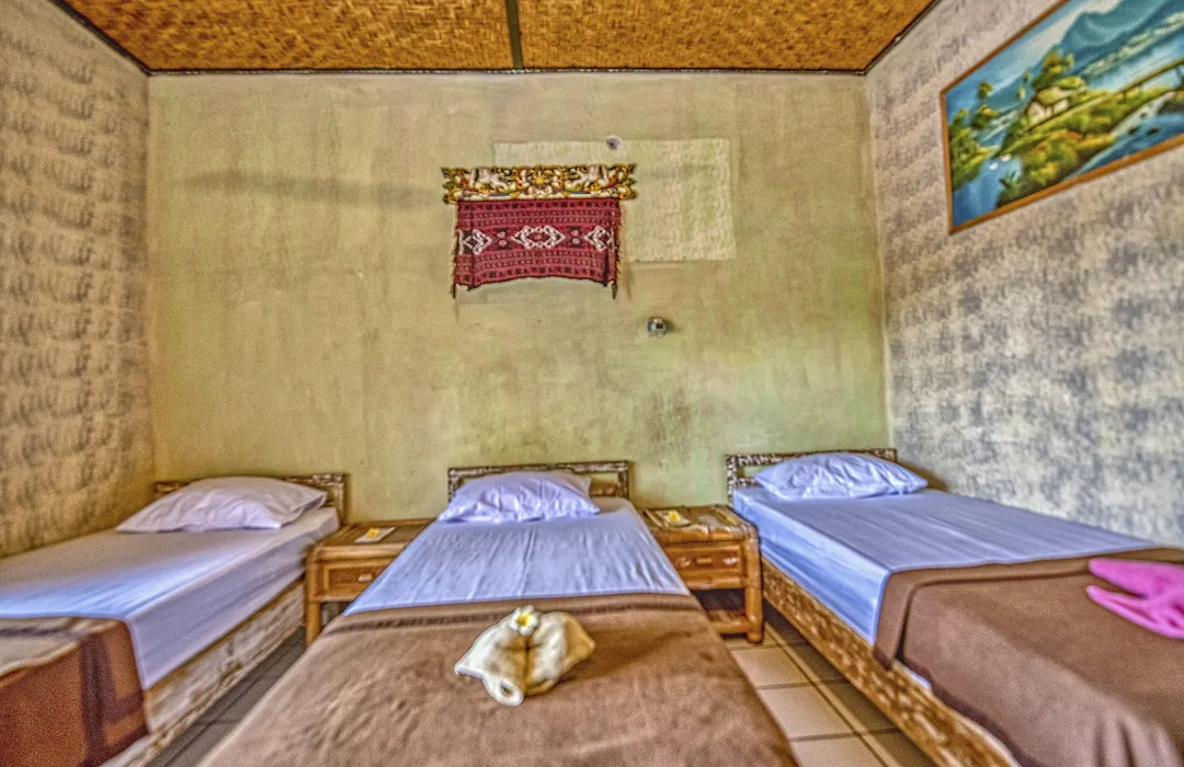 Lovina Central Hostel-1