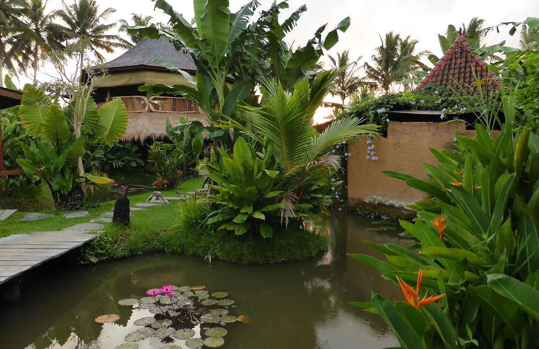 Dragonfly Village-1