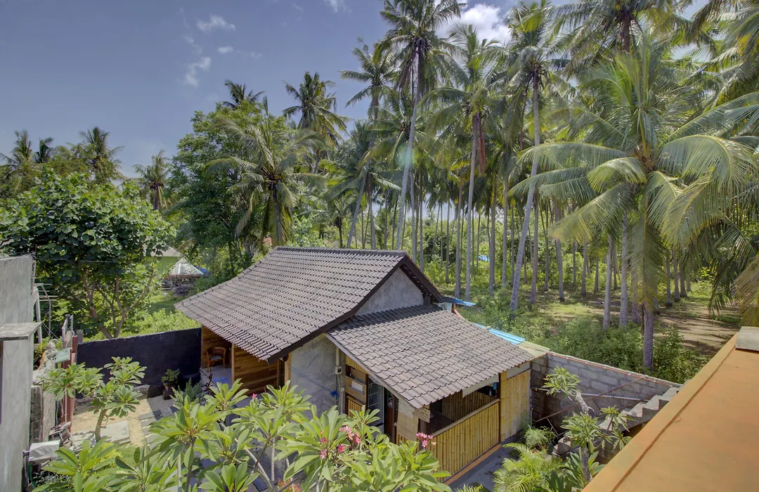 Linas Villas-1