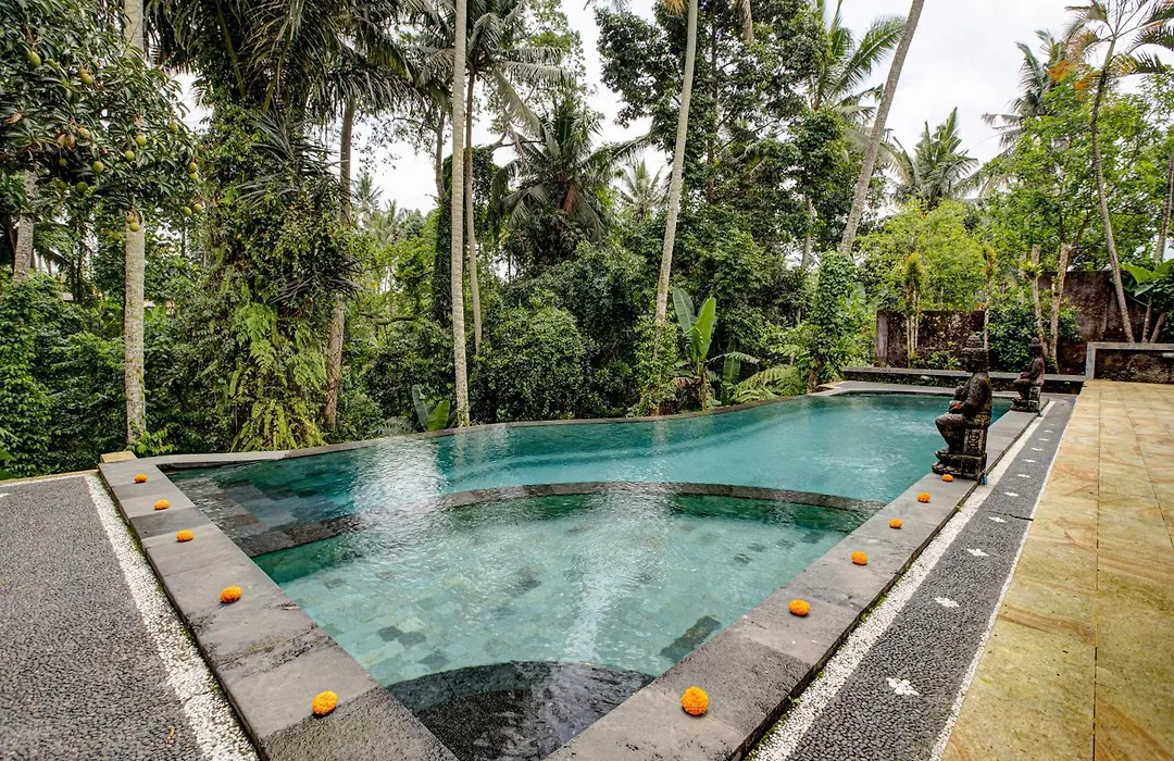 Dupa Ubud-1