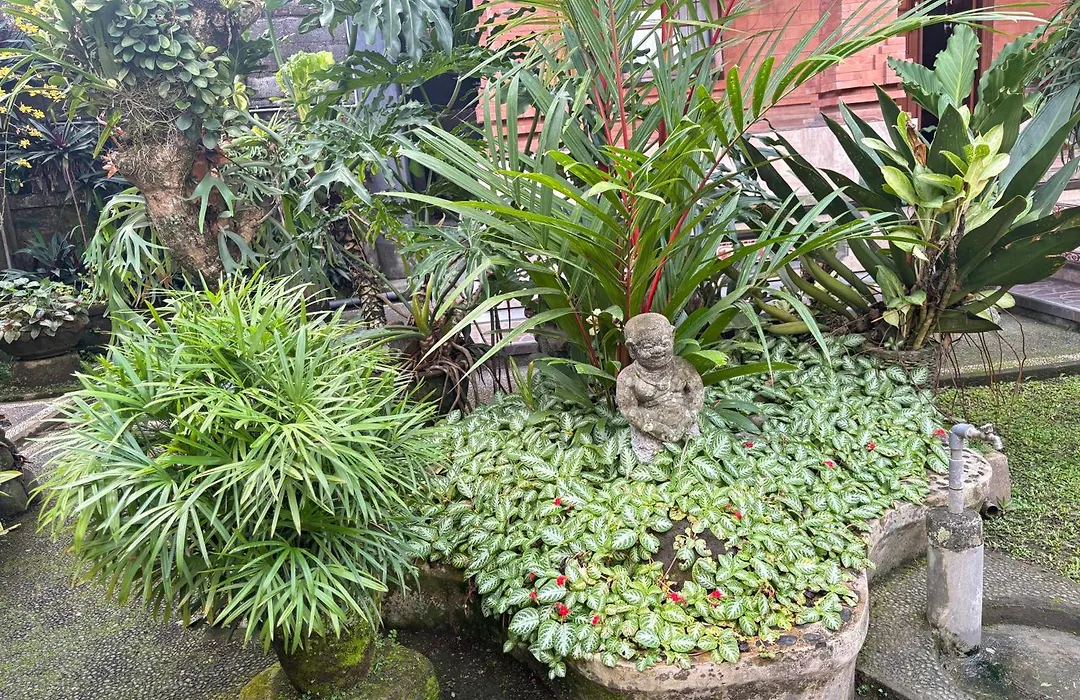 Yumi House-1