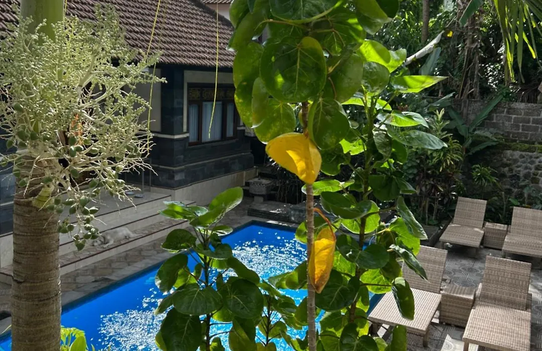 Balimas Guest House-1