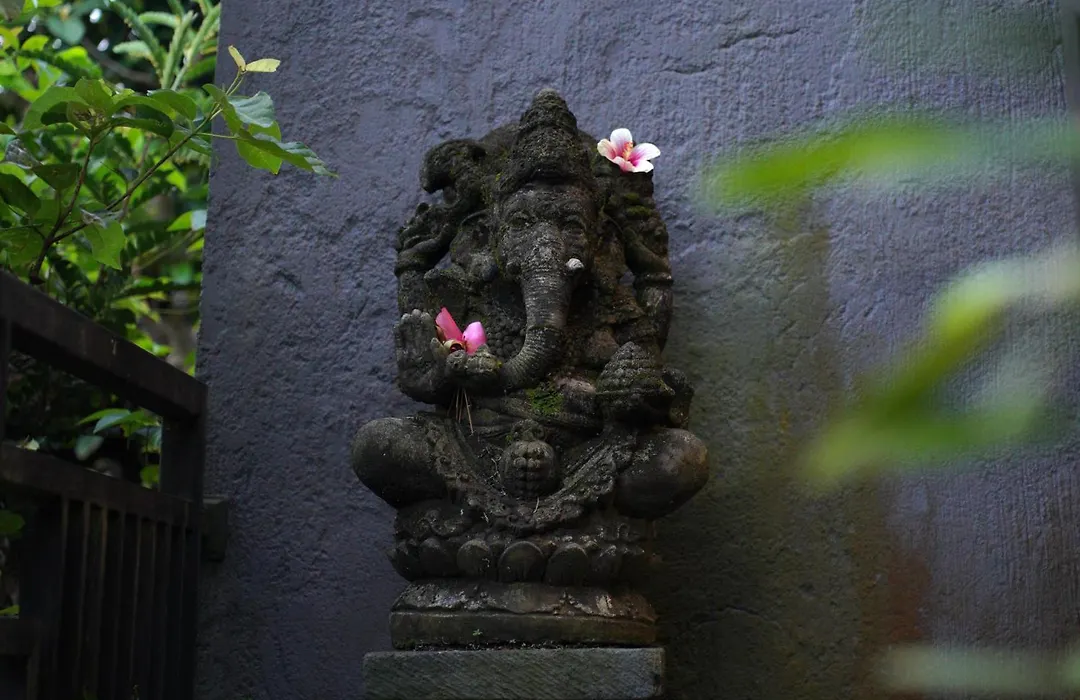 Yobi House-1
