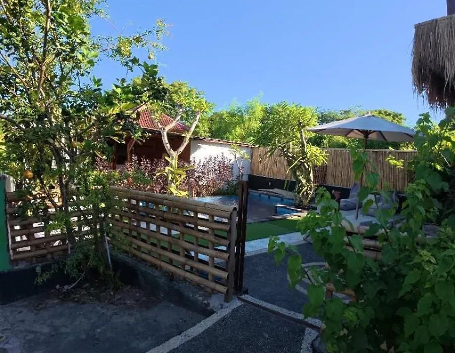 Auora Guest House-1
