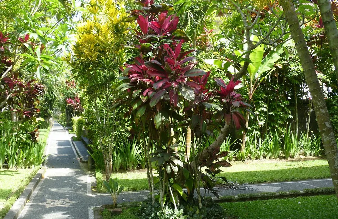 Villa Agung Khalia-1