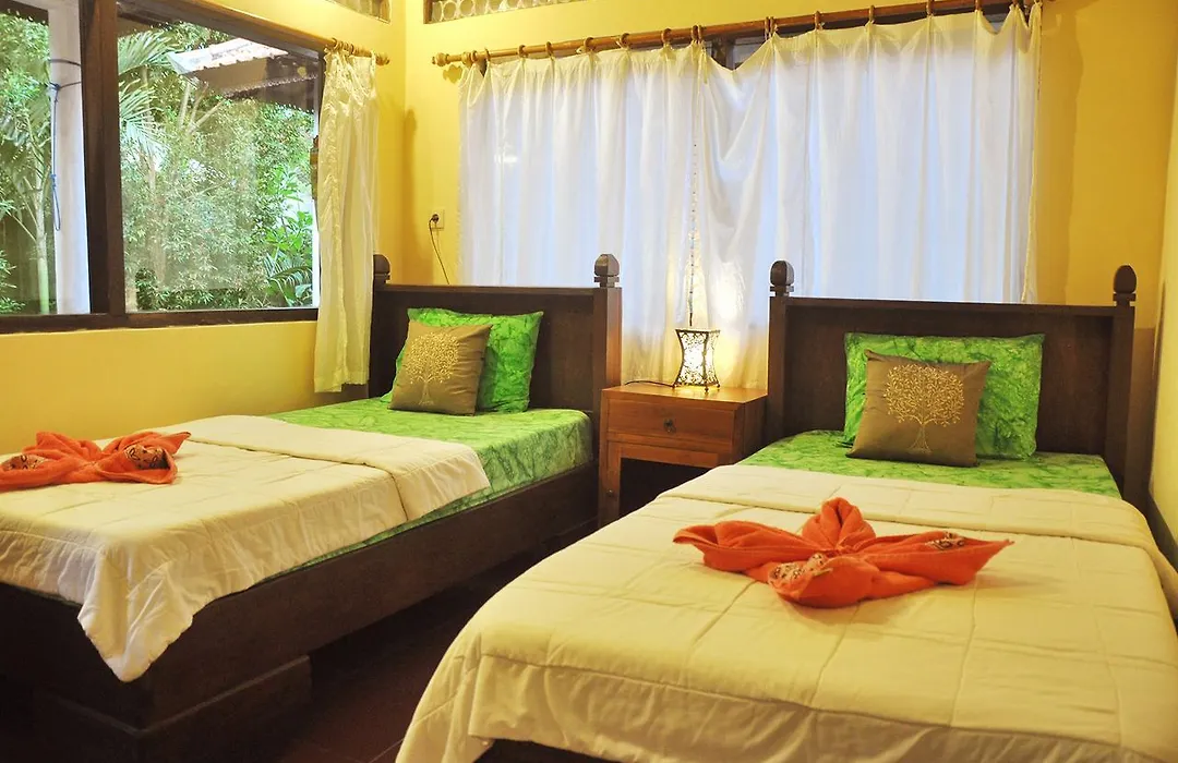 Soni Backpacker House-1