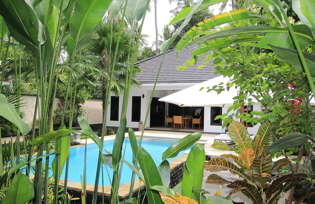Villa Kupu Kupu Lovina-1