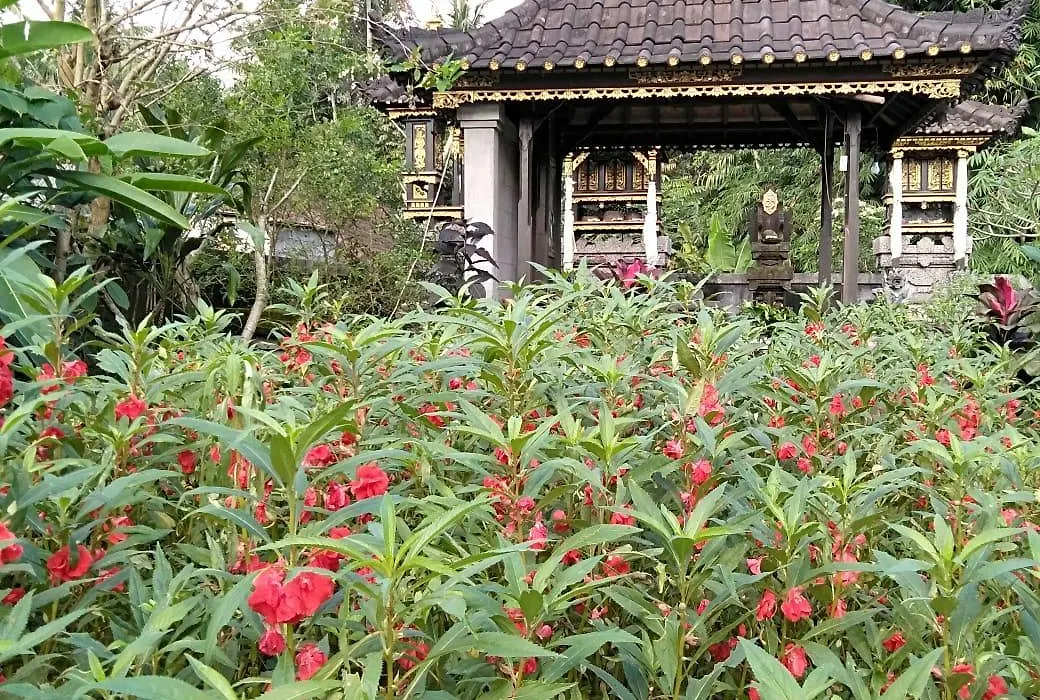 Pondok Indah Homestay-1
