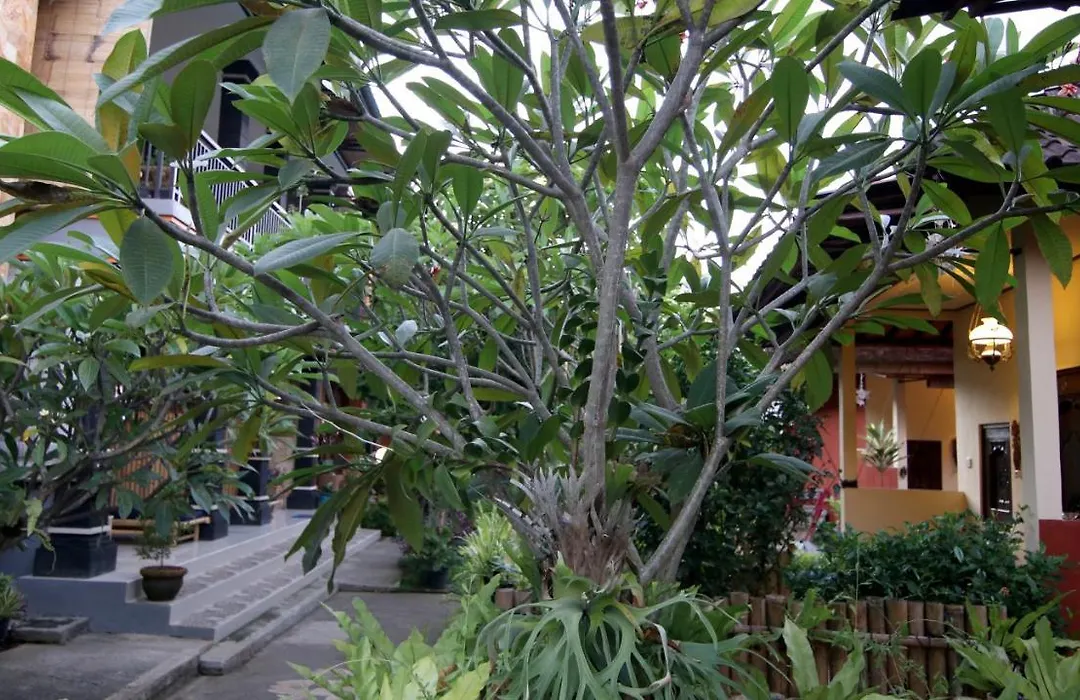 Ayye Bungalows-1
