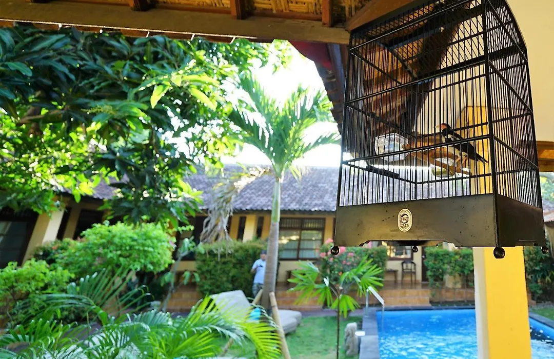 Mangga Bungalow-1