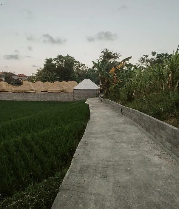 The Umah Bamboo-1