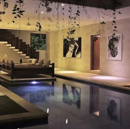 Nyaman Villas-3