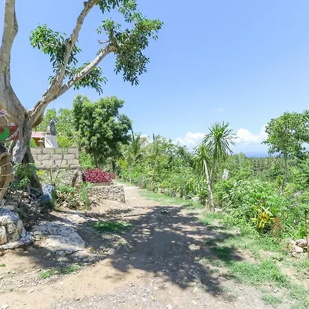 La Colina Bungalow-2