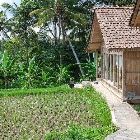 Kidem Ubud Villas-2