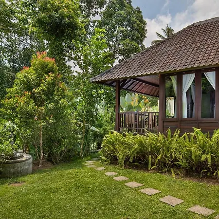 Secluded Jungle Villa-3