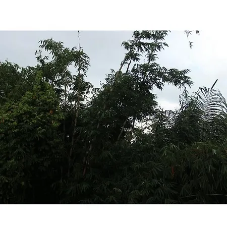 Arjun Bed And Breakfast-3