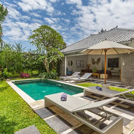 Villa Irma-3