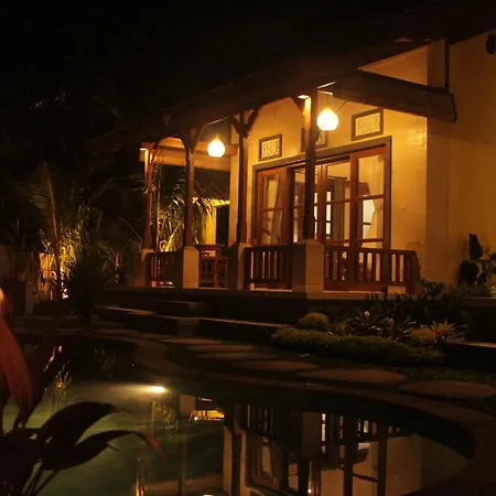 Ancut Sari Villa-3