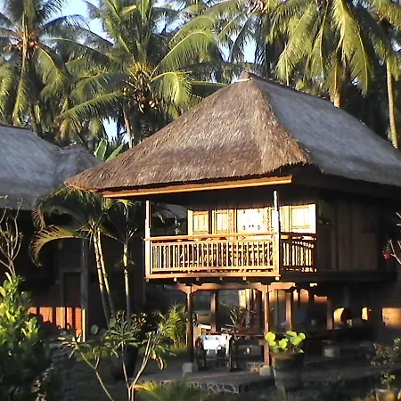 Singko Lovina-3