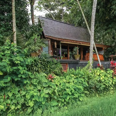 Masakali Retreat-3
