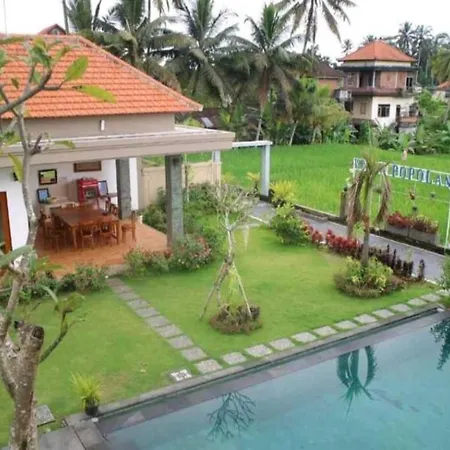 Comfortable And Peaceful House In Ubud-2