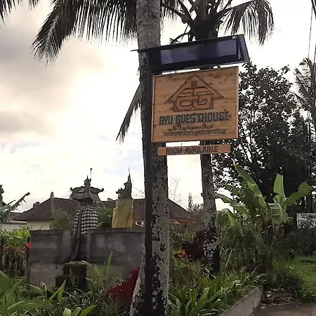Ayu Guesthouse Ubud-2