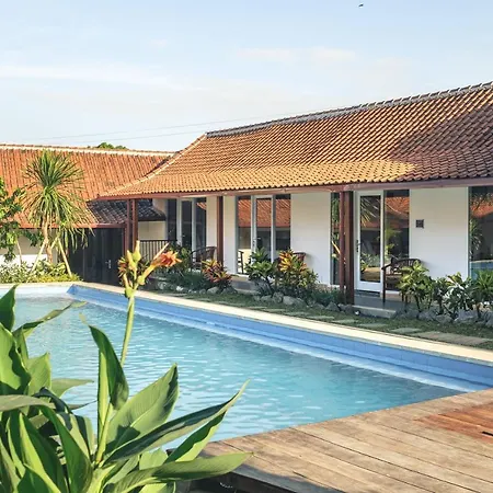 Nami Surf Stay-3