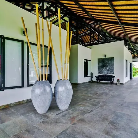 Villa Lovina Residence-3