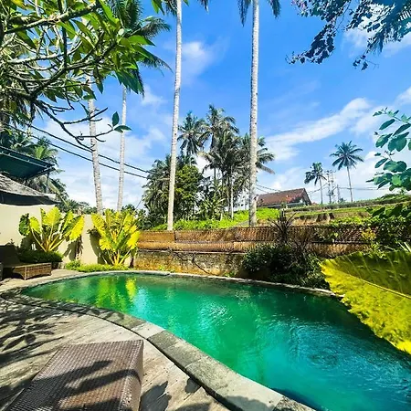 Villa Suci By Di Ubud-3