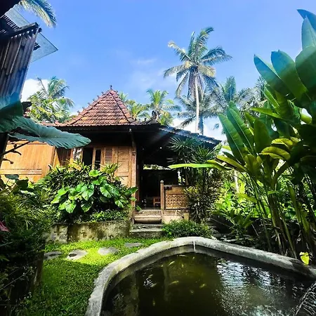 Villa Suci By Di Ubud-2