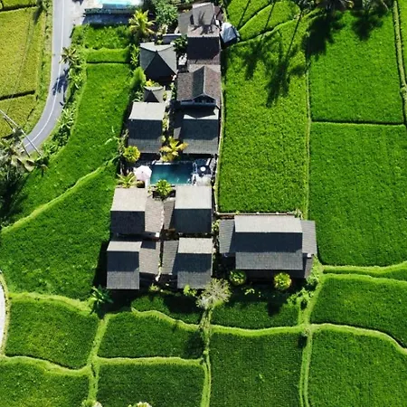 Ananda Jj Ubud Resort & Spa-2
