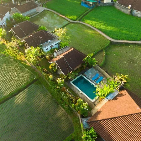 Ubud Glassy Villa By Pramana Villas-2