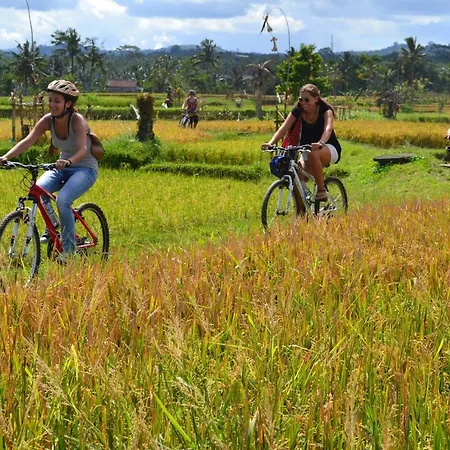 Bali Culture Guesthouse-3