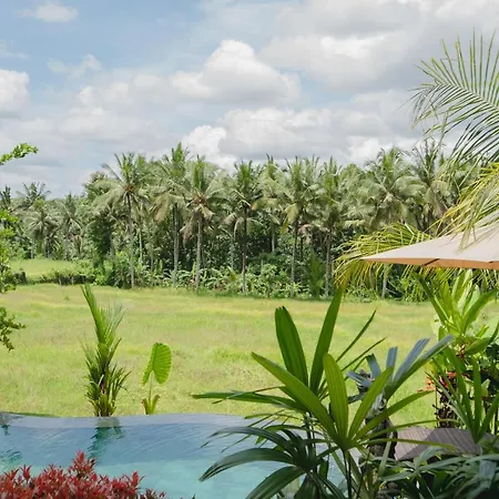 Mancur Guesthouse-2