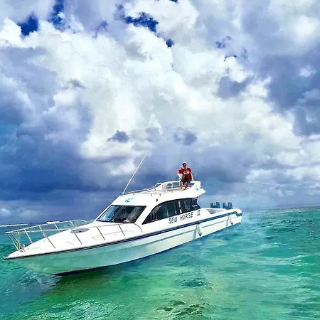 Sea-2