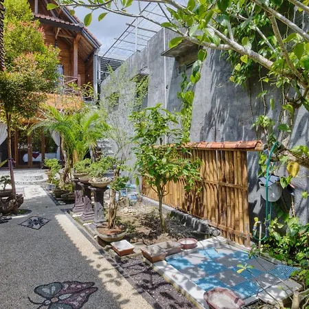 Linas Villas-2