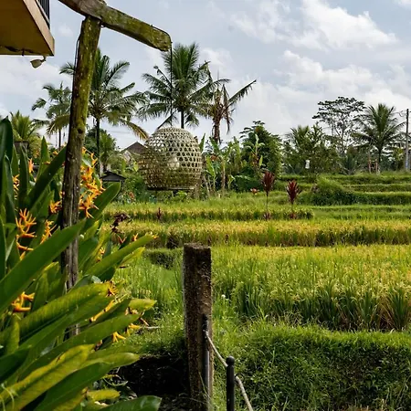 Barong Bali Villas-3