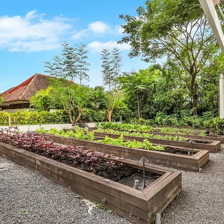 Bisma Eight Villas-3