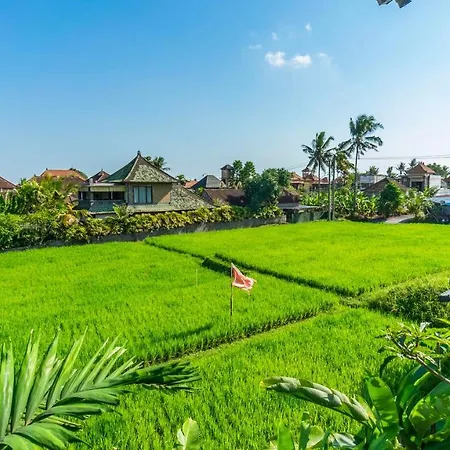 Gayatri Retreat Ubud-2
