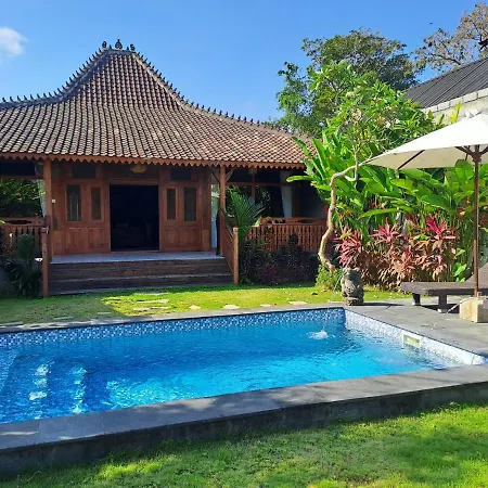 Xxl Villa Seminyak - Man Only-3