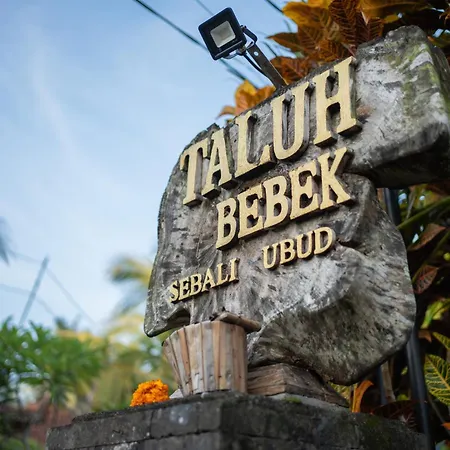 Taluh Bebek Ubud Private Villas-3