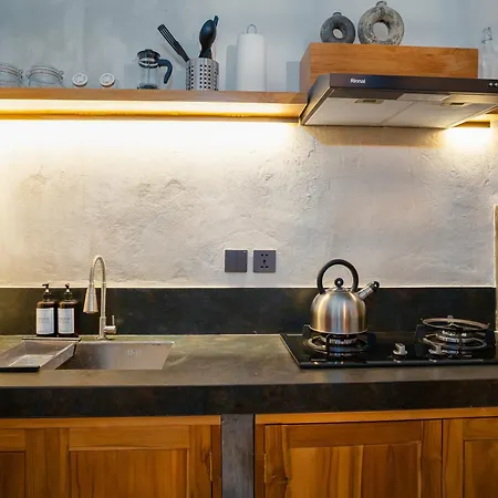 Alaya Homes A - Luxury Japandi Loft Suite In Seminyak-2