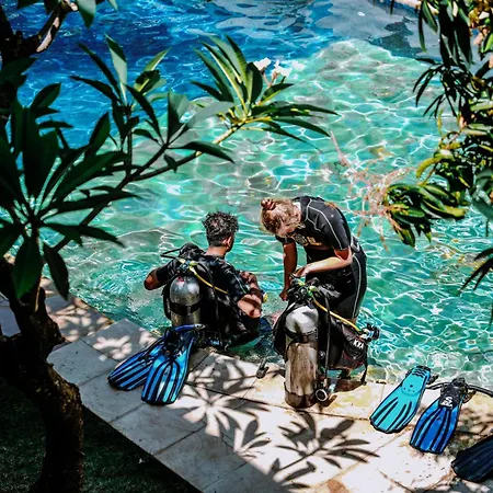 Kura Kura Divers Lodge-2
